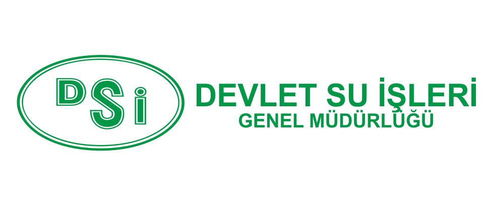 dsi
